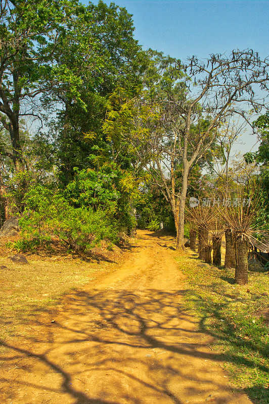 马拉维，Likhubula Thyolo典型的土路